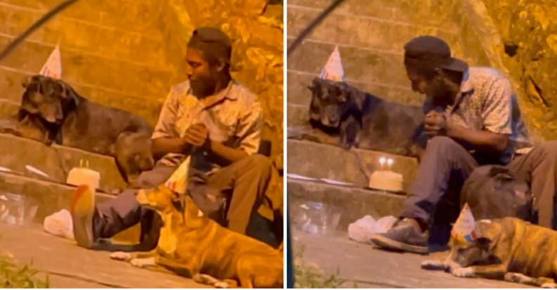 Obdachloser Mann veranstaltet Geburtstagsparty für seine Hunde – Video berührt Menschen in sozialen Medien